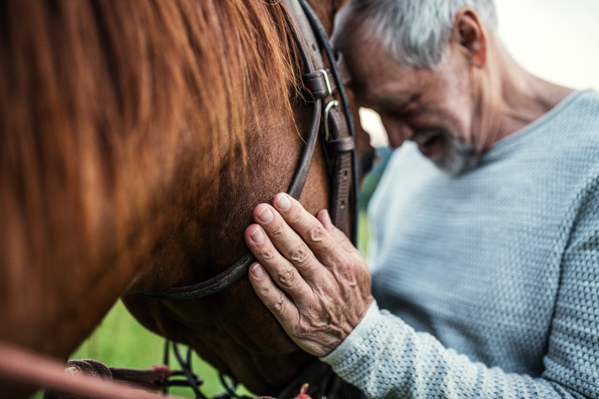 The Healing Power of Horses for Trauma Survivors