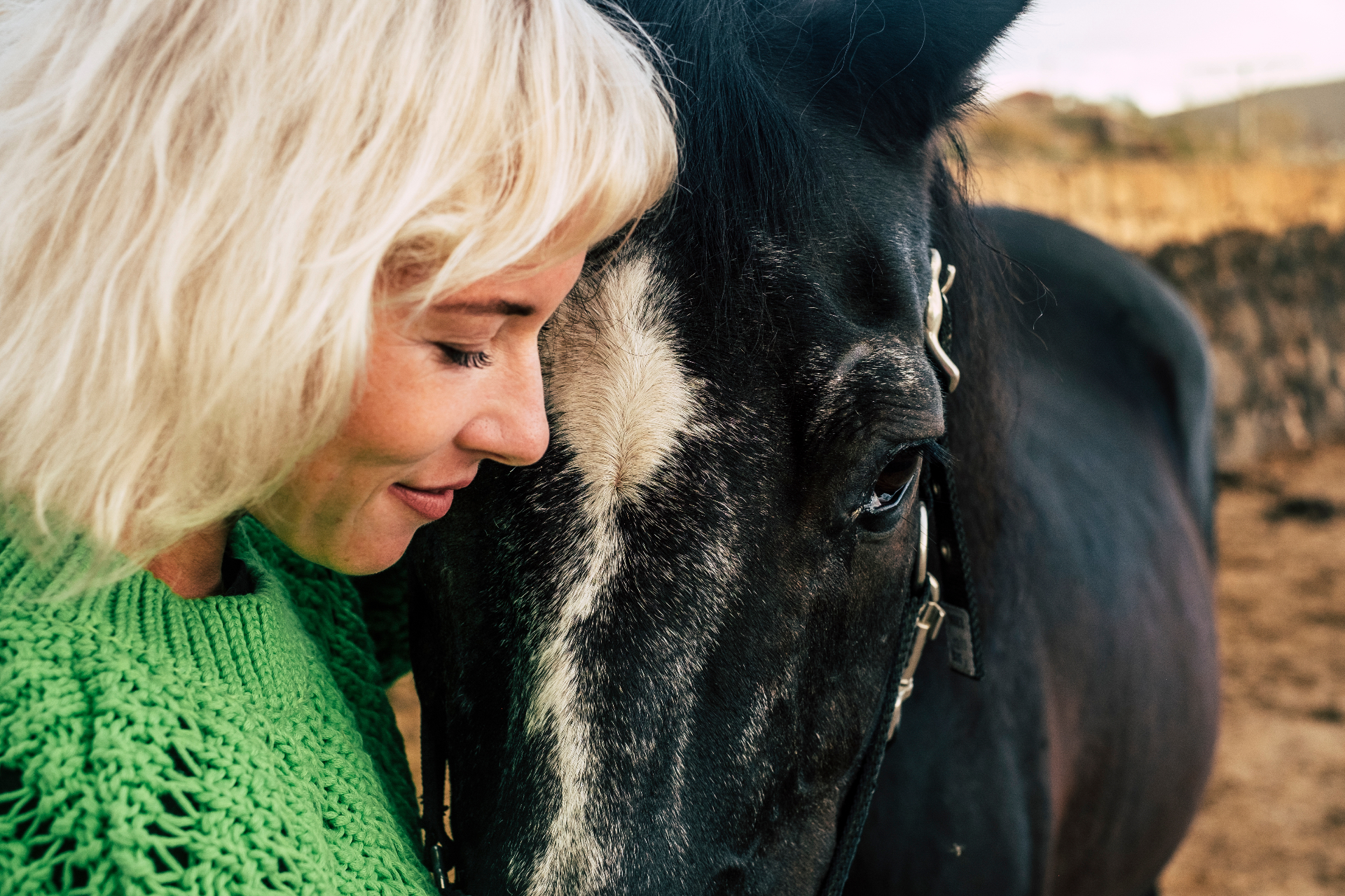 From Trauma to Triumph: Personal Stories from Our Equine Program
