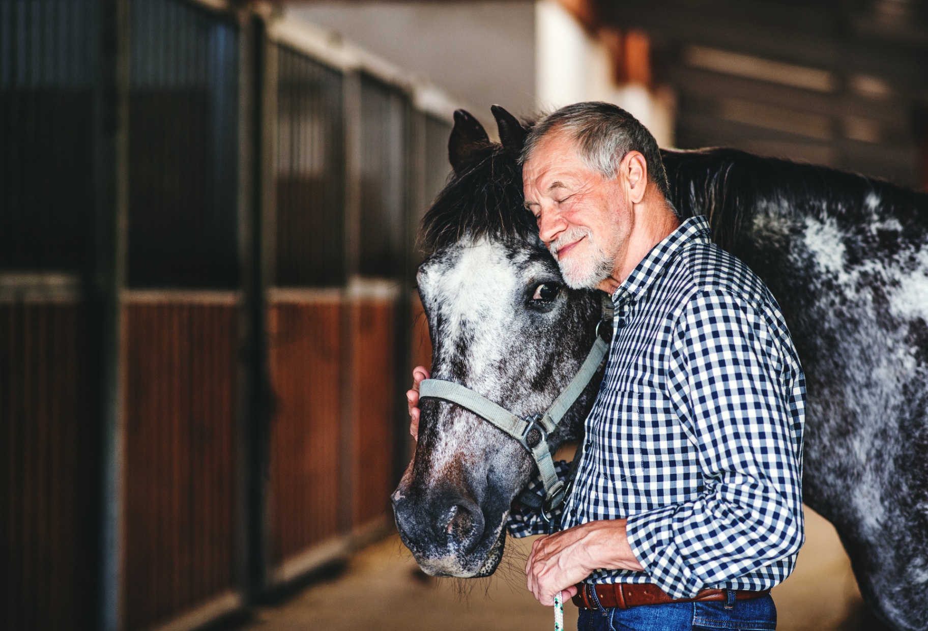 Man embracing therapy horse during equine assisted psychotherapy session