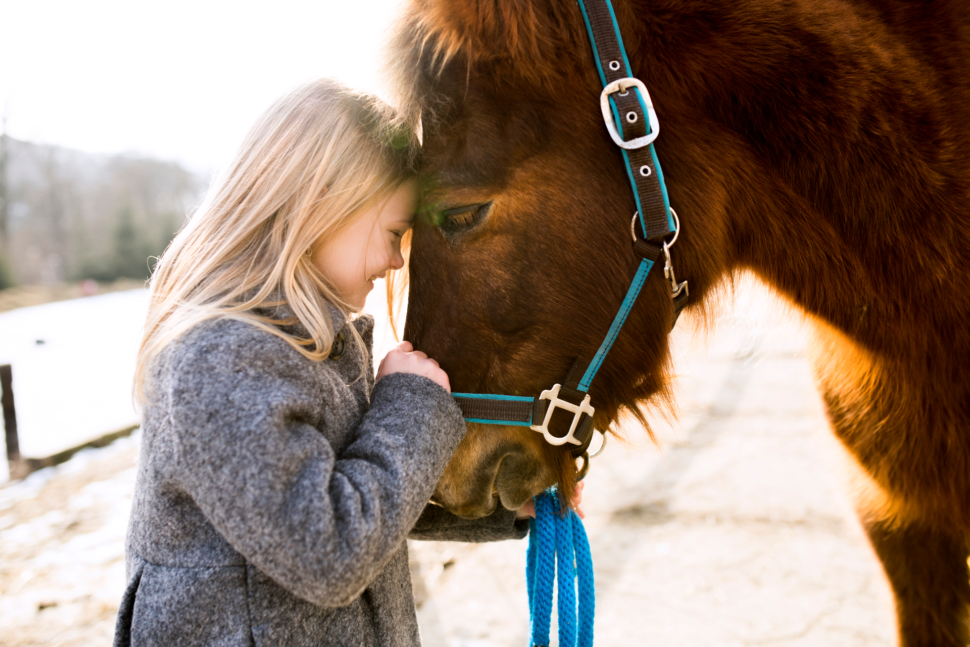 Young girl sharing a tender moment with therapy horse in equine assisted psychotherapy